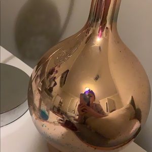 Meet your Posher, Carys